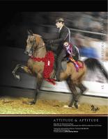 images/afires_heir_ads/aht_feb2011_AfiresHeir_thmb.jpg