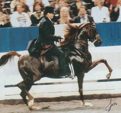mhr nobility