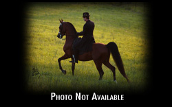 photo not available